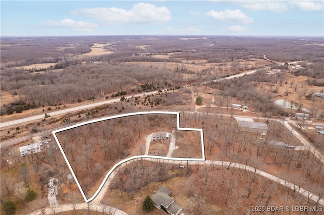 202 Simmons Loop, Macks Creek, MO 65786 - photo 38
