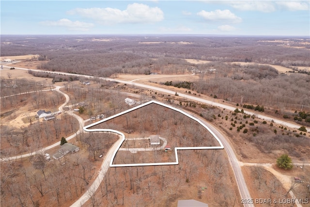 202 Simmons Loop, Macks Creek, MO 65786 - photo 39
