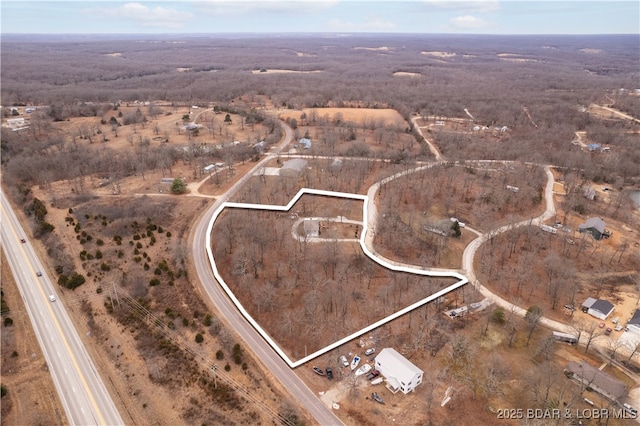 202 Simmons Loop, Macks Creek, MO 65786 - photo 41