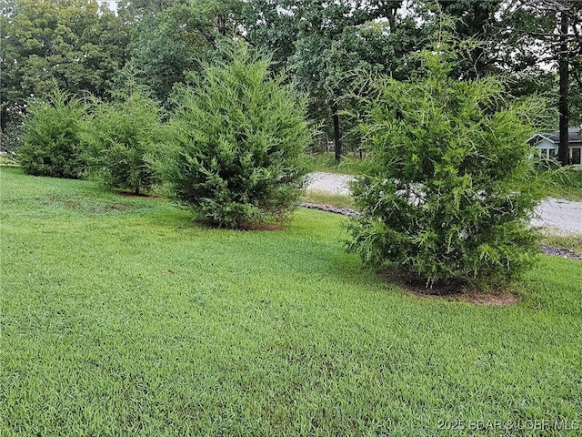 202 Simmons Loop, Macks Creek, MO 65786 - photo 10