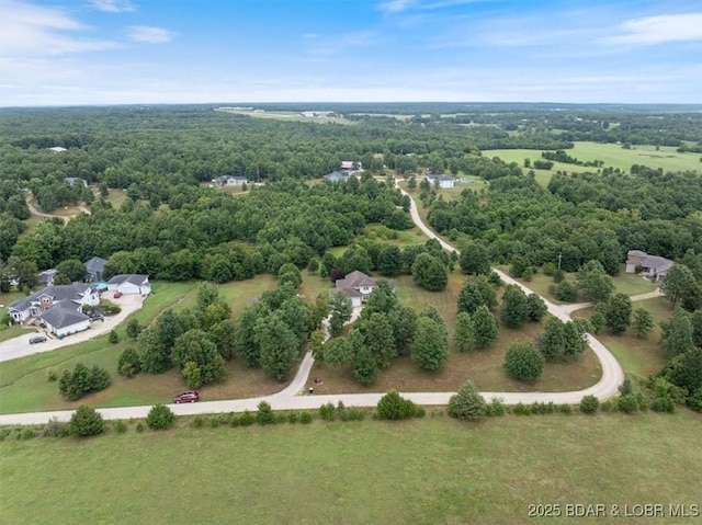 1195 Moreland Rd, Camdenton, MO 65020 - photo 45