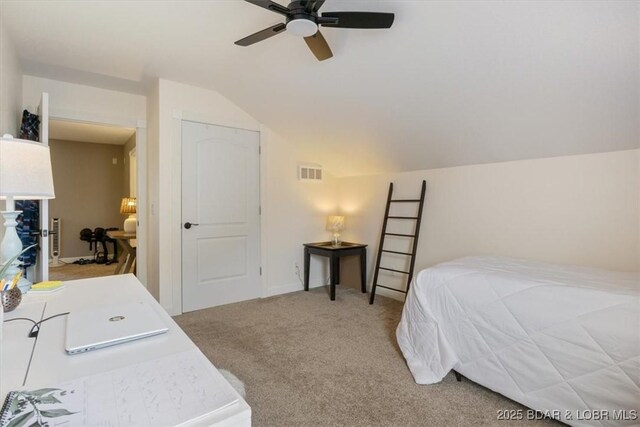 1195 Moreland Rd, Camdenton, MO 65020 - photo 37