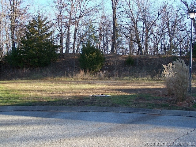 Listing photo 2 for LOT23 Evergreen Ct, Gravois Mills MO 65037