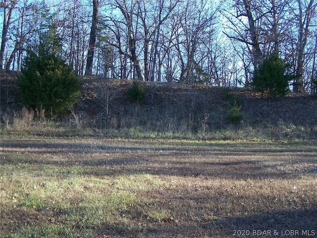 Listing photo 3 for LOT23 Evergreen Ct, Gravois Mills MO 65037