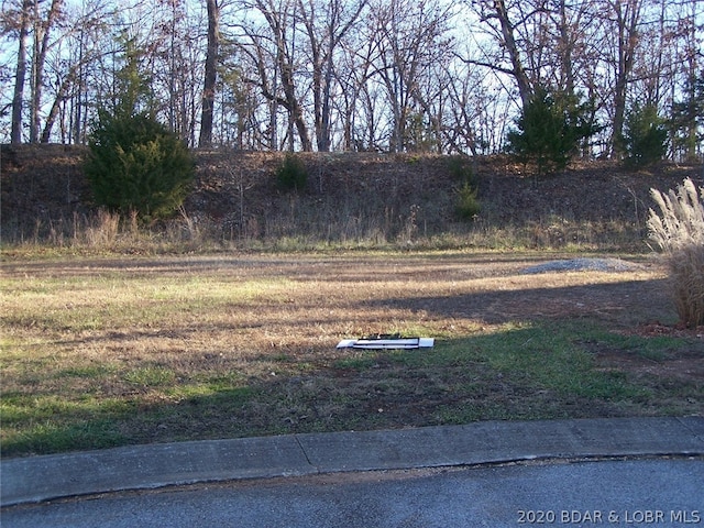 LOT23 Evergreen Ct, Gravois Mills, MO 65037