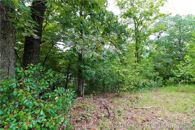 Listing photo 3 for Lot5 Matson Lane, Linn Creek MO 65052