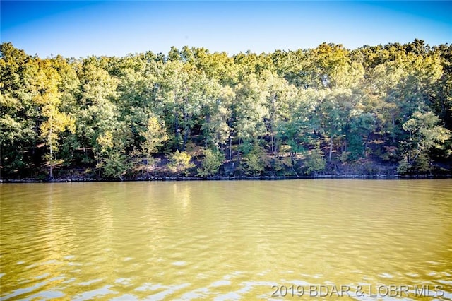 Listing photo 3 for Waterside Drive, Camdenton MO 65020