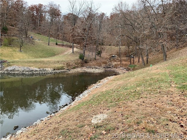 view of water feature