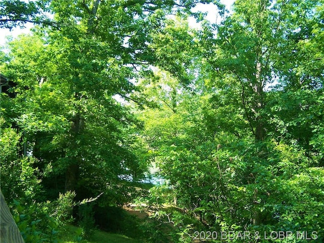 view of mother earth's splendor