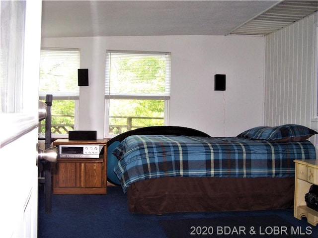 view of carpeted bedroom