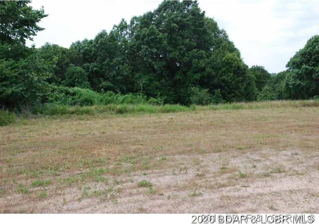 Listing photo 3 for TBD Highway 5, Gravois Mills MO 65037