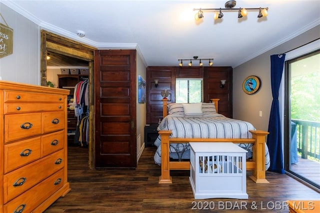 bedroom featuring dark hardwood / wood-style flooring, access to exterior, and rail lighting