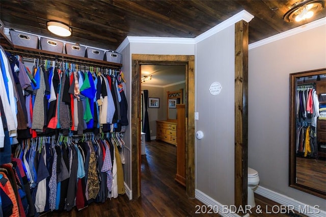 spacious closet featuring dark wood-type flooring