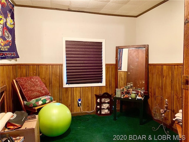 exercise room featuring crown molding, dark colored carpet, and wooden walls