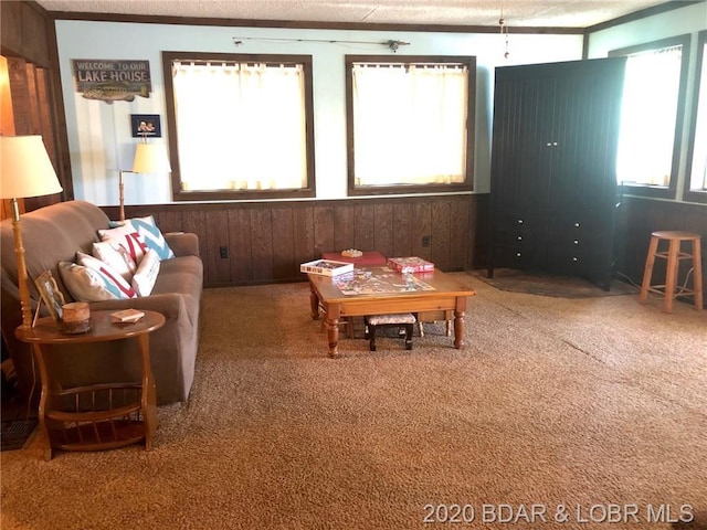 living room with dark carpet