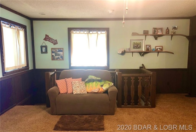 living area with light carpet and a textured ceiling