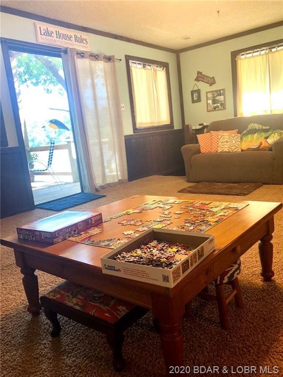 interior space with ornamental molding, a wealth of natural light, and carpet flooring