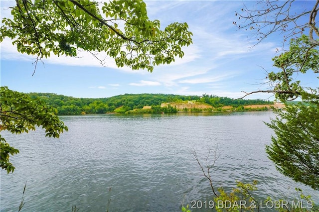 Listing photo 2 for Lot5 Matson Lane, Linn Creek MO 65052