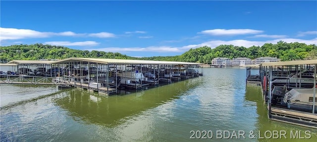 dock area featuring a water view