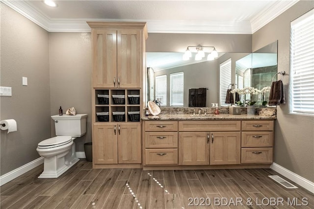 bathroom with vanity, toilet, and hardwood / wood-style floors