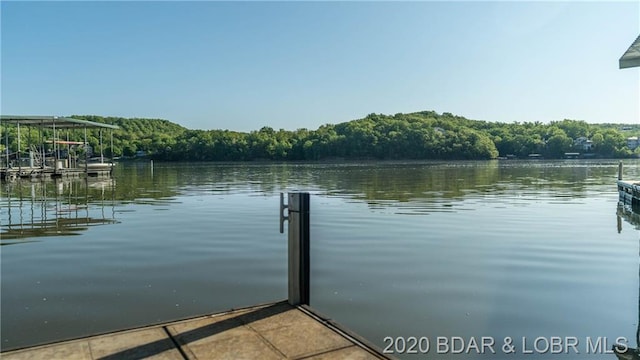 dock area featuring a water view