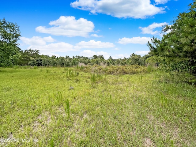 2819 Black Creek Dr, Middleburg, FL 32068 - photo 7