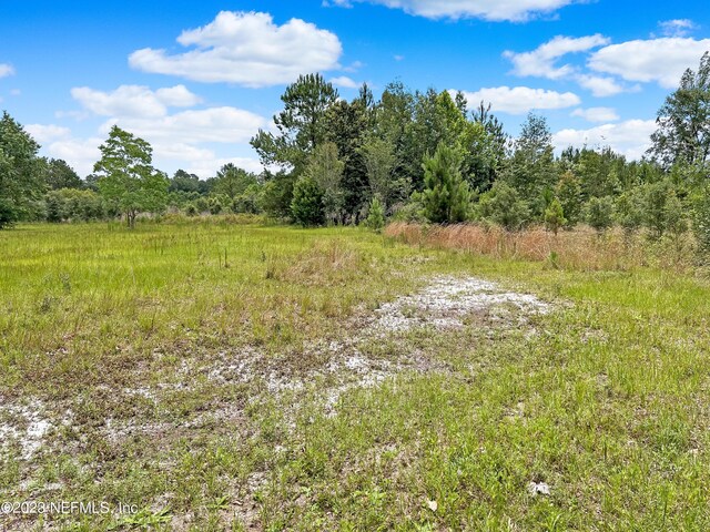 2819 Black Creek Dr, Middleburg, FL 32068 - photo 6