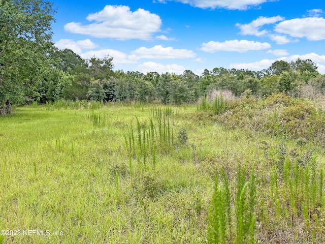 view of local wilderness