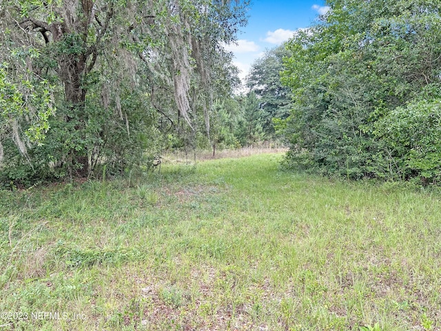 2819 Black Creek Dr, Middleburg, FL 32068 - photo 10