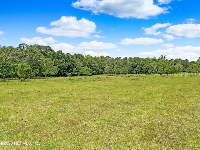 2819 Black Creek Dr, Middleburg, FL 32068 - photo 37