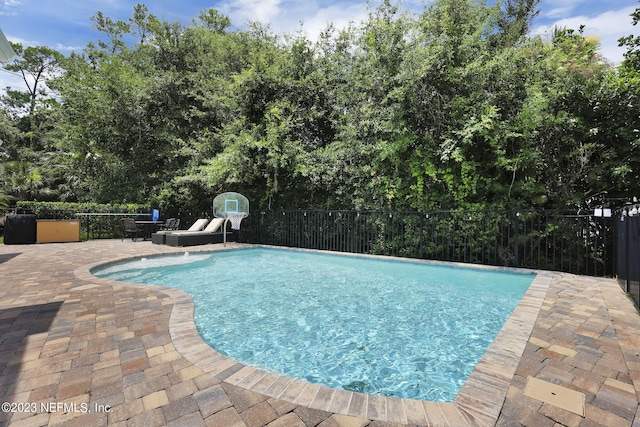 view of swimming pool with a patio area