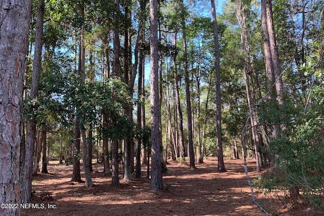 view of local wilderness