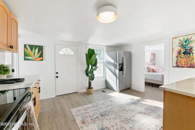 foyer entrance featuring light hardwood / wood-style flooring