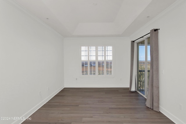 unfurnished room featuring dark hardwood / wood-style flooring and a raised ceiling