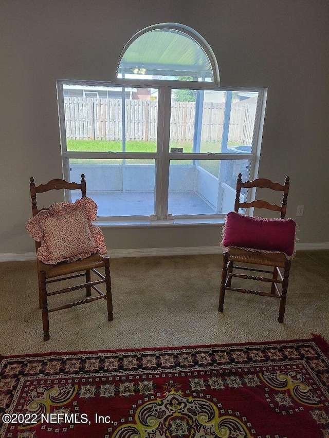 living area featuring carpet flooring