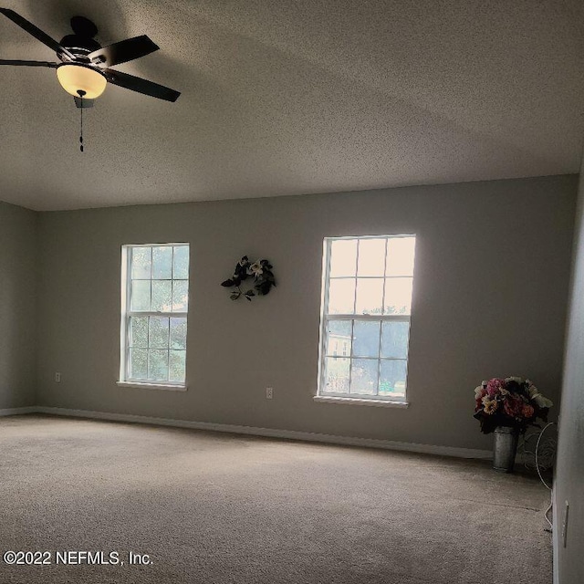 carpeted spare room with plenty of natural light and a textured ceiling