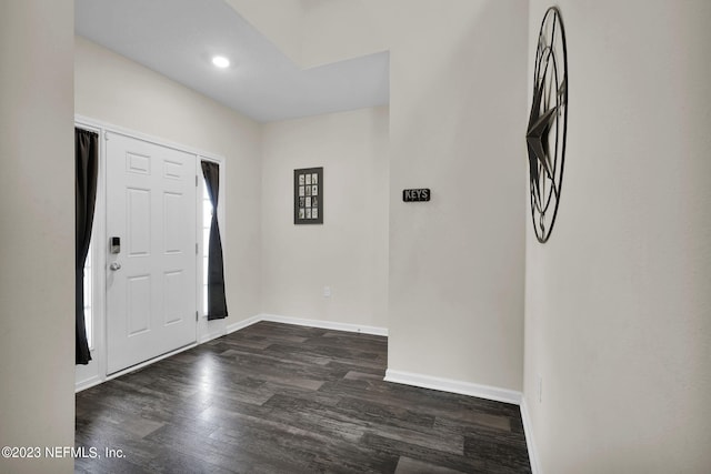 foyer with dark hardwood / wood-style flooring