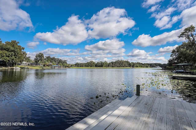 dock area featuring a water view