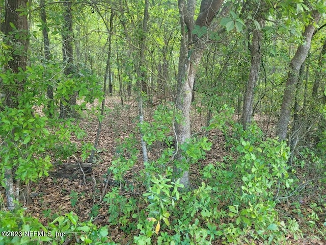 view of landscape with a forest view