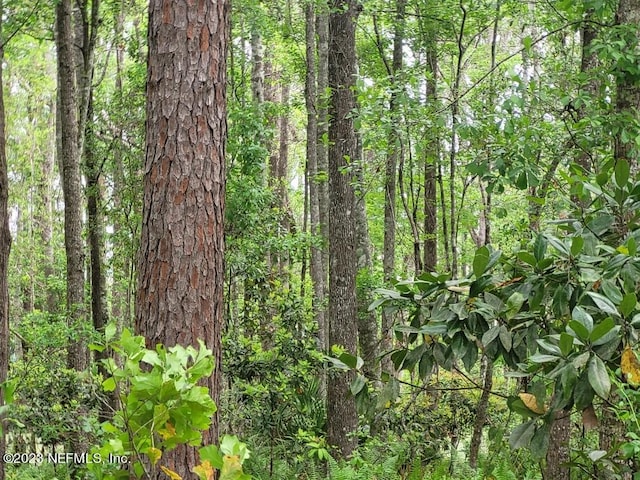 view of nature featuring a view of trees