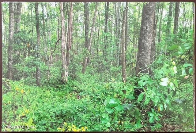 view of nature with a view of trees