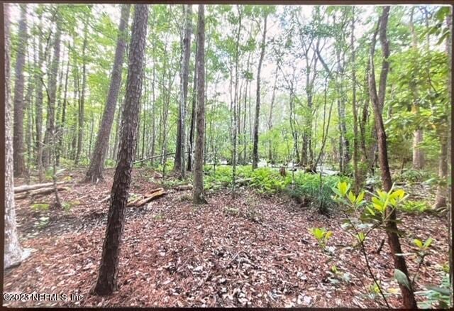 view of local wilderness featuring a wooded view