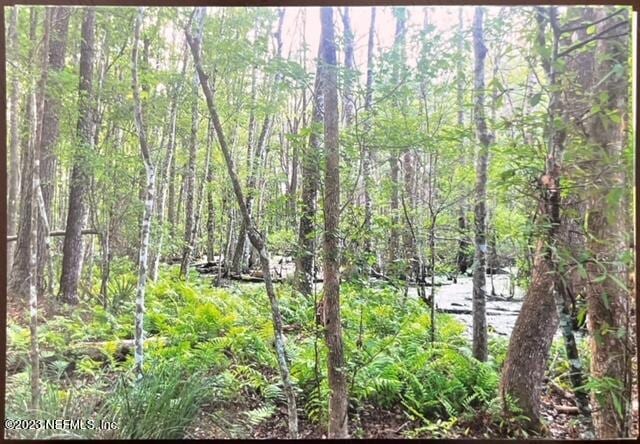 view of nature with a forest view