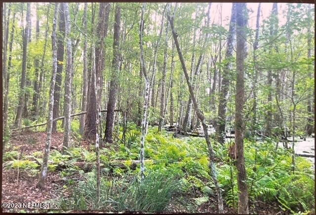 view of nature with a forest view