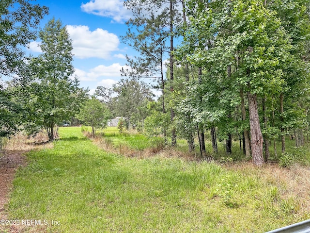 4340 Lazy H Ranch Rd, Middleburg, FL 32068 - photo 5