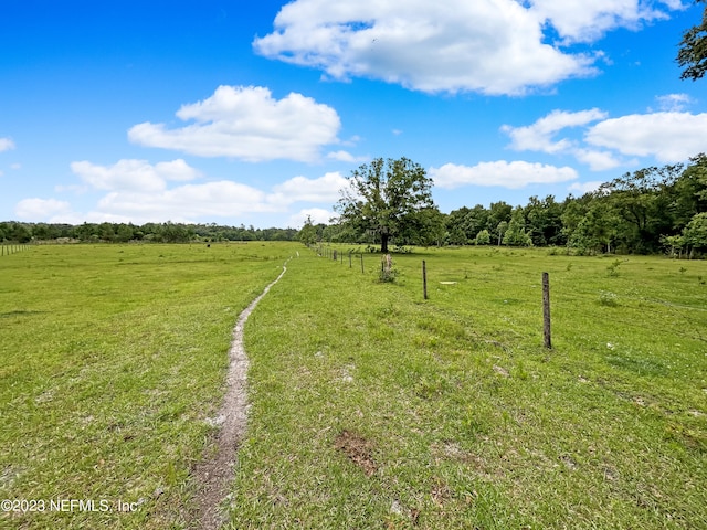 view of yard with a rural view