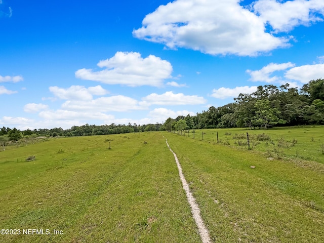 4340 Lazy H Ranch Rd, Middleburg, FL 32068 - photo 23