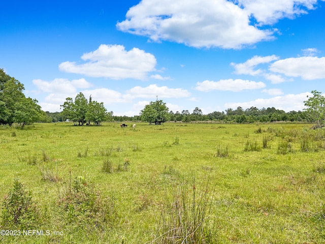 view of local wilderness with a rural view