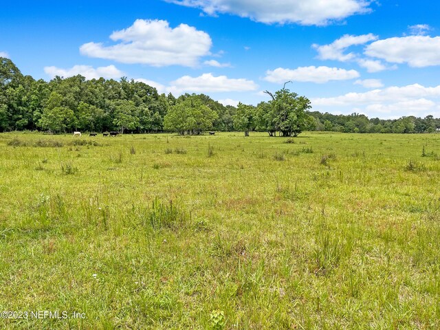 4340 Lazy H Ranch Rd, Middleburg, FL 32068 - photo 27