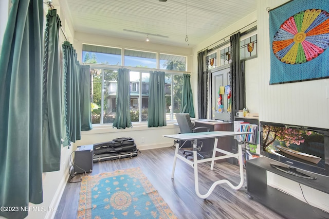 sunroom with track lighting